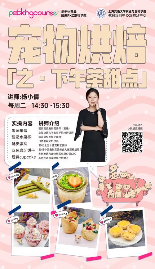 糖糖宠物派对游戏下载：超多可爱宠物等你解锁！