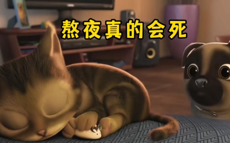 经常通宵打游戏会怎么样?看完你还敢熬夜吗?