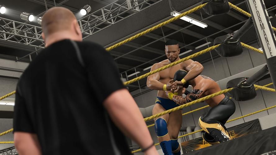 美国职业摔角游戏太难?教你几招快速成为高手!