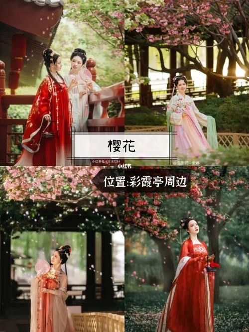 花开花落游戏怎么玩？零基础入门保姆级教程！