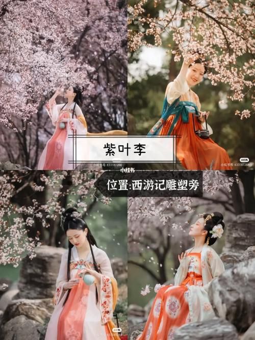 花开花落游戏怎么玩？零基础入门保姆级教程！