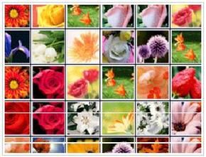 花花连连看小游戏攻略秘籍，高分技巧大揭秘！