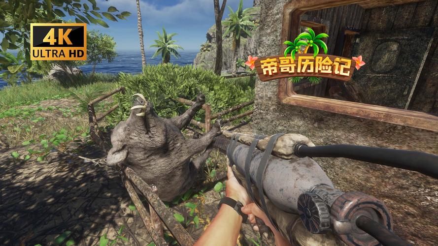 荒岛求生游戏怎么通关？这份攻略快收好！