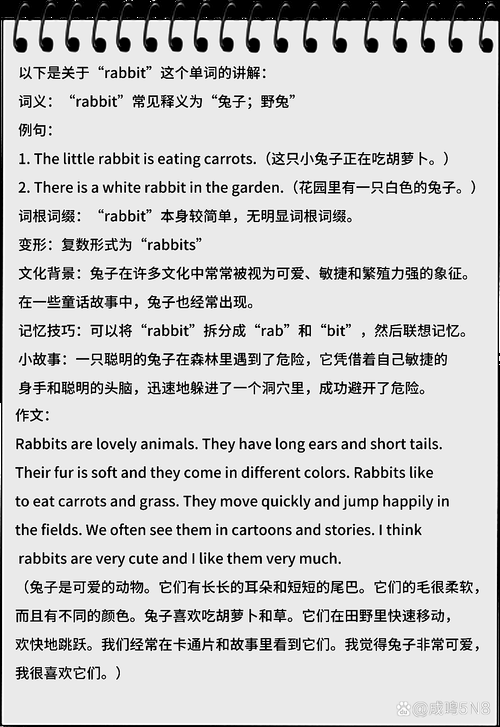 萝卜蹲的英文口令是什么？这几个词让你玩转全场！