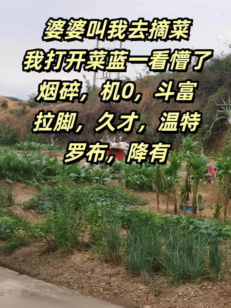 蓝一游戏真人照曝光！快来看看是不是你的菜！