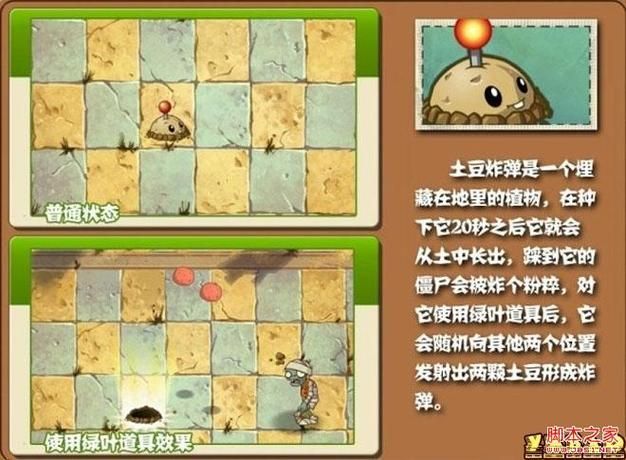 藏式游戏sh0好玩吗？游戏特色和亮点全面解析！