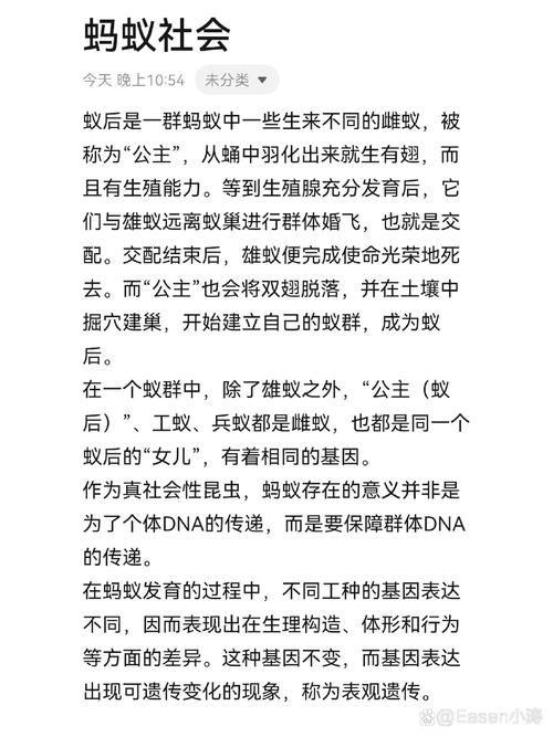 蚂蚁生宝宝游戏攻略大全，从入门到精通秘籍！