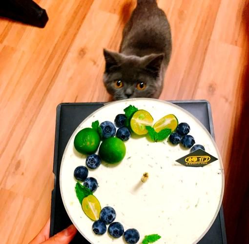 蛋糕的游戏有哪些？这几种玩法值得一试！