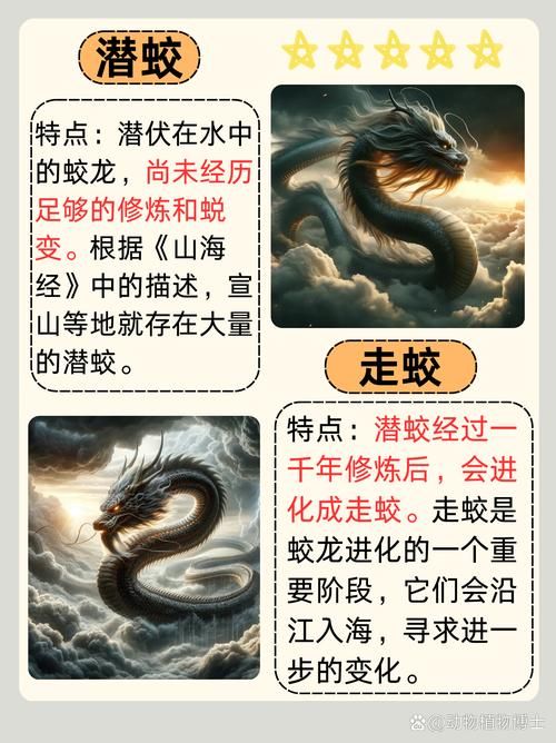 蛟龙出海游戏有啥诀窍？掌握这几点轻松赢高分！