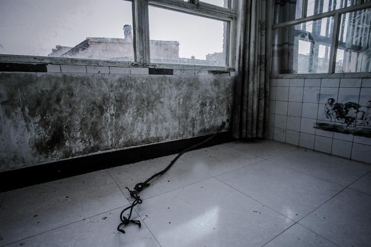 被囚禁的男孩游戏讲了什么？剧情背后隐藏的秘密！