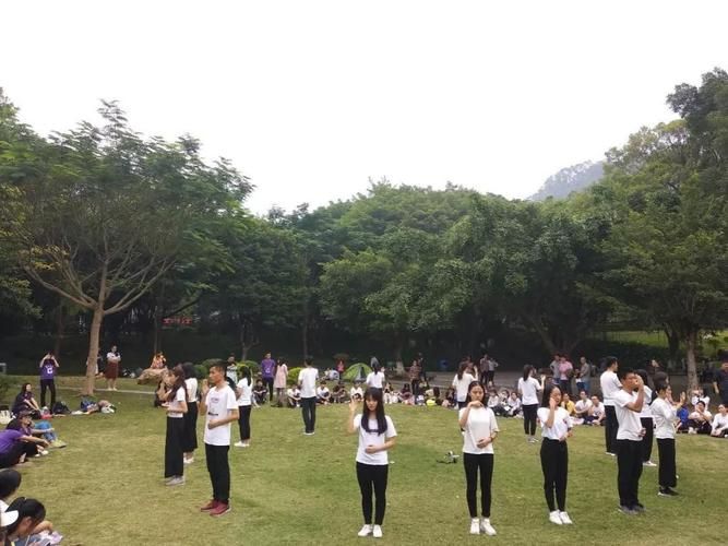 解手环游戏太难了!过关技巧和窍门分享!