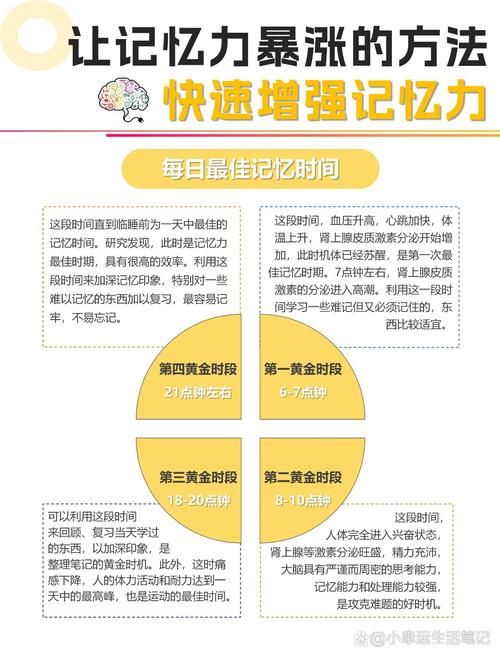 记忆力游戏教案如何实施?让孩子在玩乐中提升记忆!