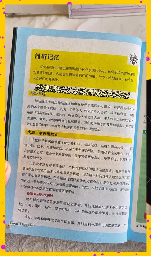 记忆力游戏教案如何实施?让孩子在玩乐中提升记忆!