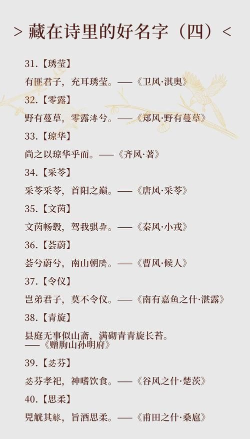 诗词游戏名字有哪些？这几个名字让人眼前一亮！