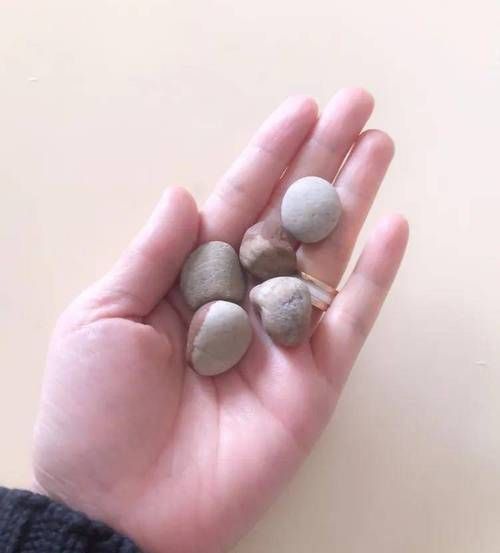 谁还记得石子游戏?小时候最爱玩的游戏之一!