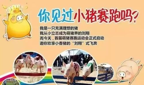 赶猪跑游戏总是输？掌握这些技巧让你反败为胜！