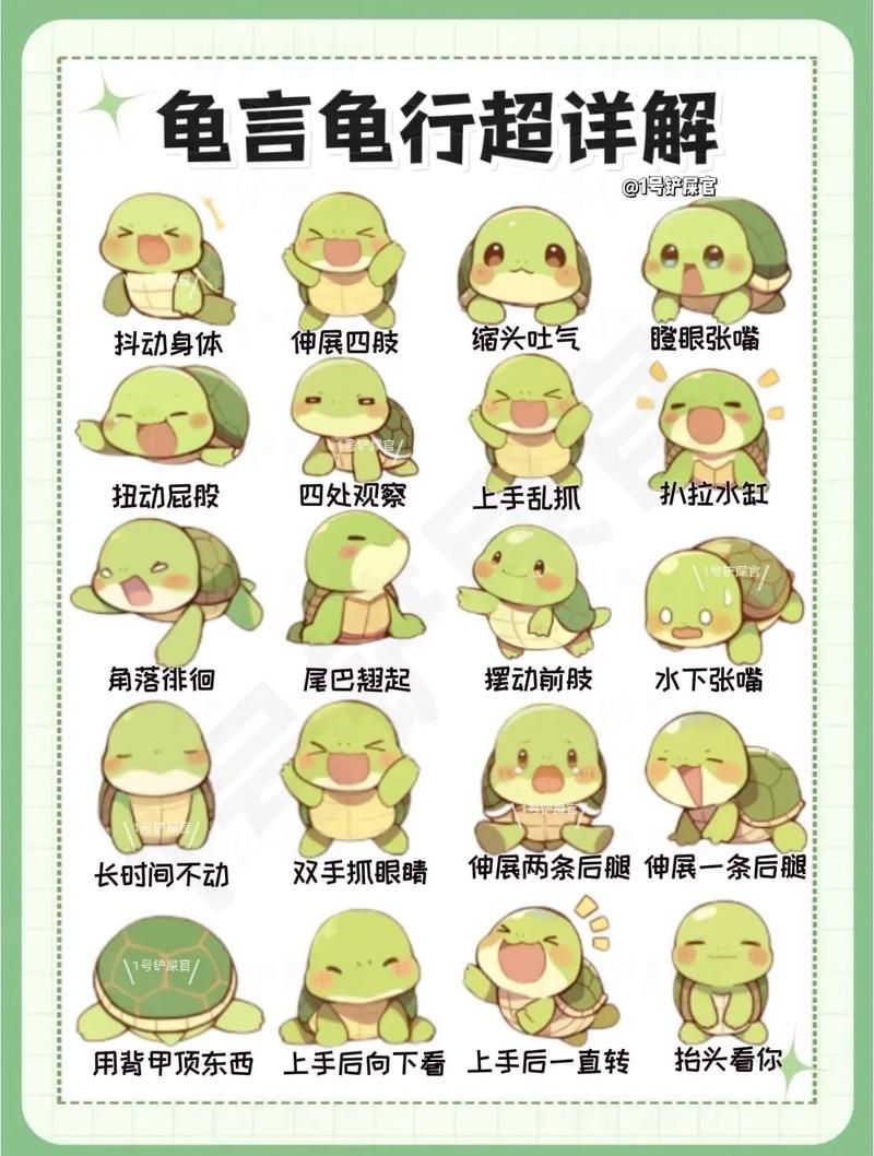 跑跑龟游戏规则有哪些？最全玩法技巧都在这了！