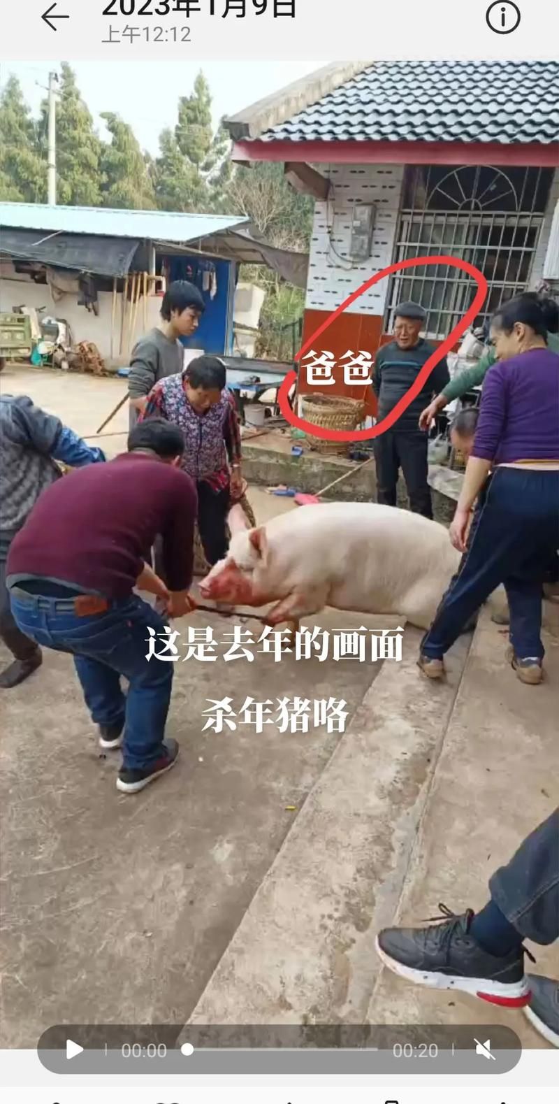 跟老婆玩杀猪游戏太有趣了！快来试试吧！