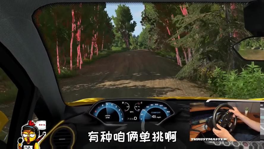 车祸模拟游戏视频解说，老司机教你避免事故！