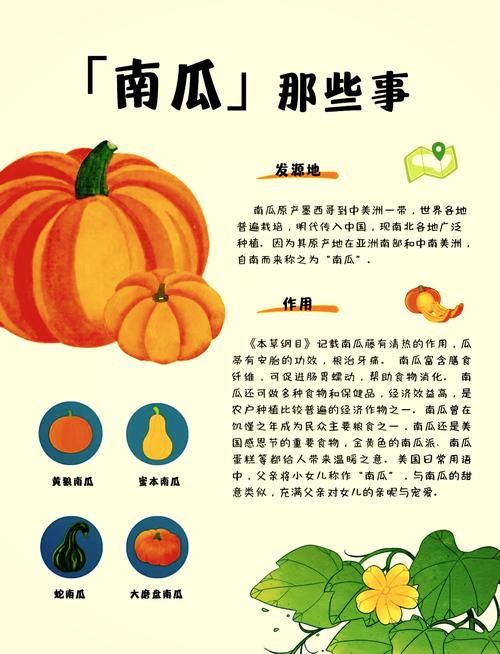 运南瓜游戏规则详解，新手也能快速上手玩开怀！