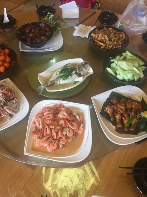 运转乾坤游戏技巧分享，新手快速入门必看攻略！