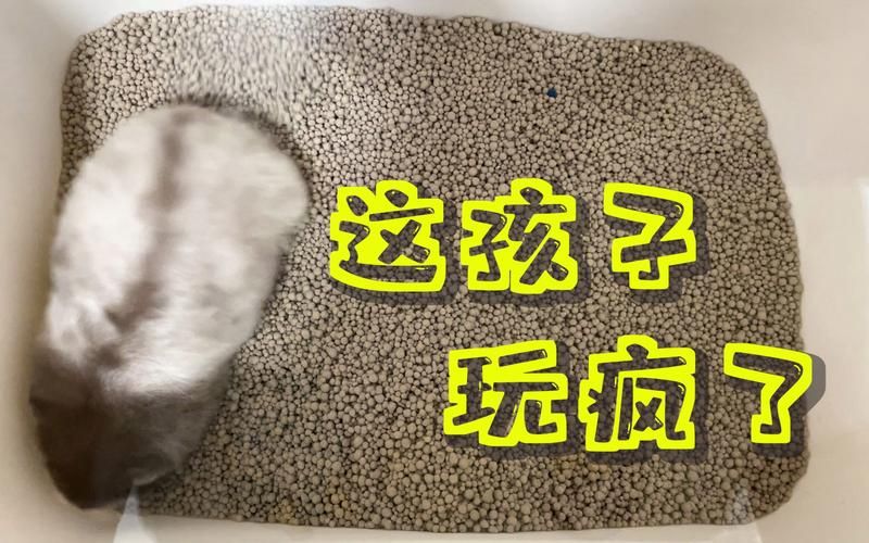 适合一年级课间玩的游戏,这几个让孩子玩疯了!