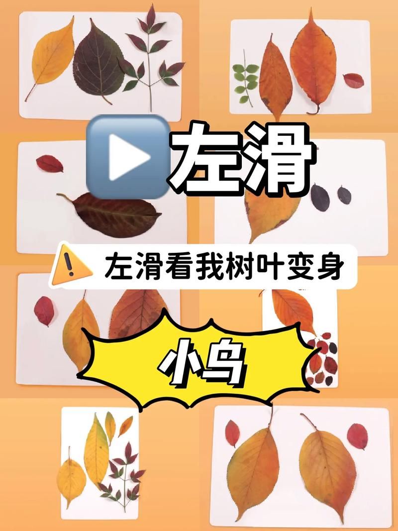 适合孩子玩的树叶游戏，这几种玩法千万别错过！