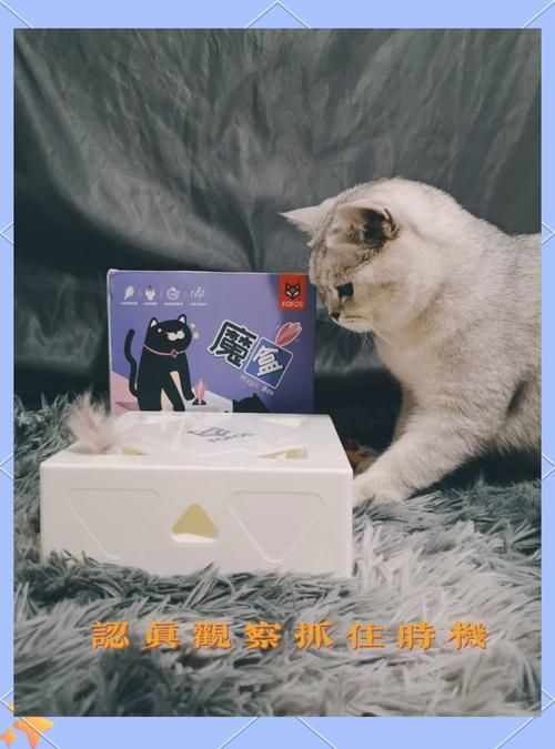 适合小猫玩的手机游戏推荐，解放双手必备神器！