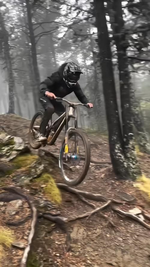 速降山地车游戏下载推荐，手机也能畅快玩！