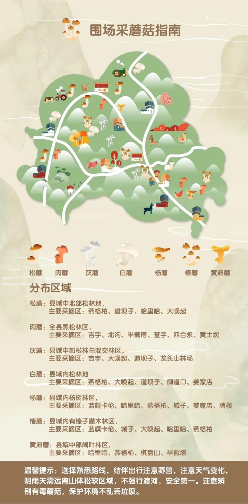 采蘑菇的游戏怎么玩？新手必看攻略技巧！