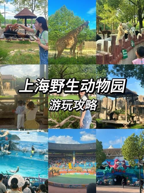 野生动物园游戏怎么玩？新手必看超详细攻略！
