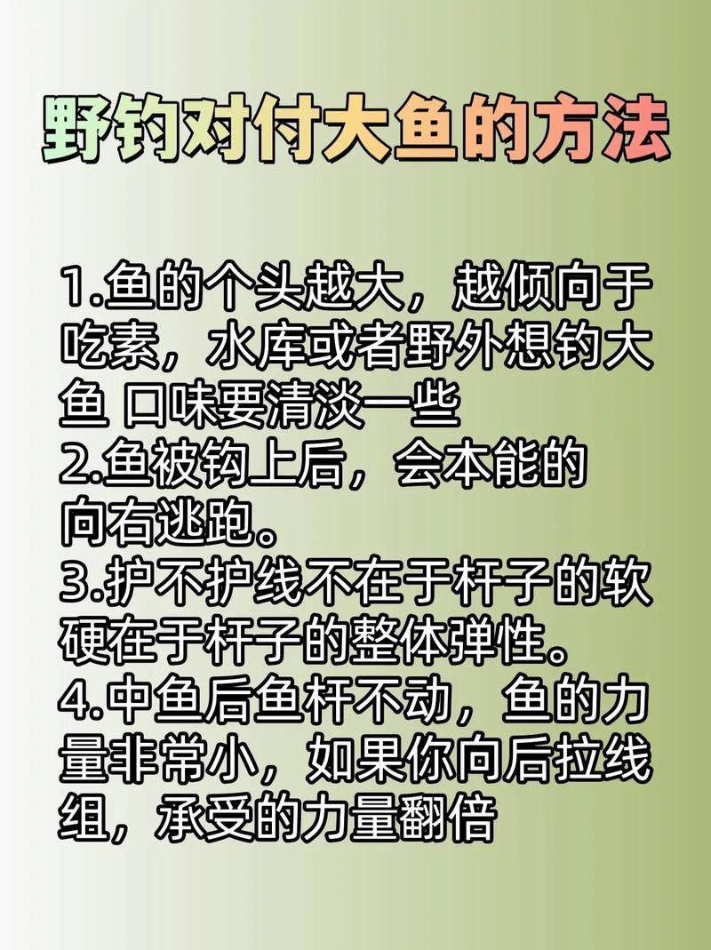 钓大鱼游戏怎么才能赢？掌握这些技巧提高胜率！