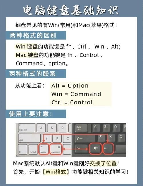 键盘打字母游戏怎么玩？新手入门指南看这里！