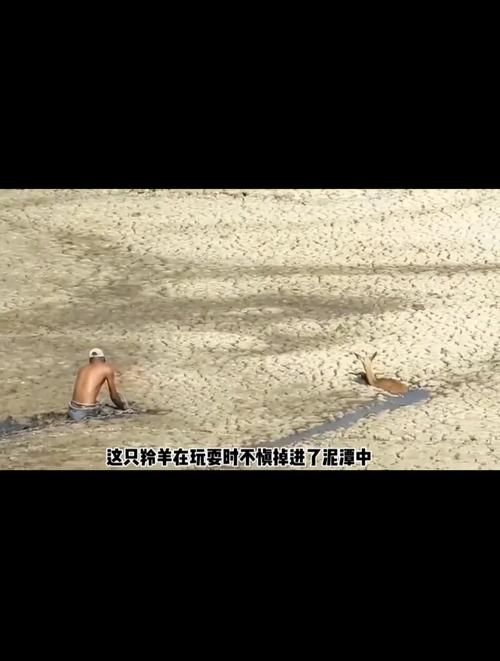 陷入沼泽的游戏合集推荐，这几个越玩越上瘾！