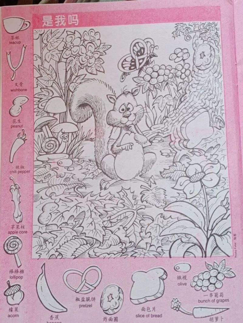 隐藏的图画游戏下载最新版，挑战你的眼力和耐心！