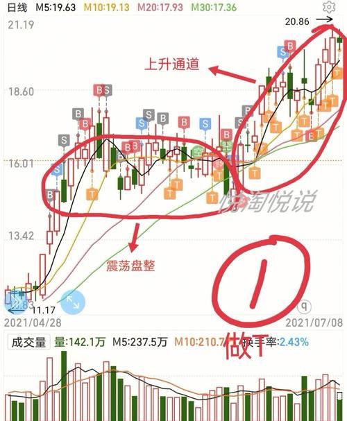 01t是什么意思 新手必看的详细解释