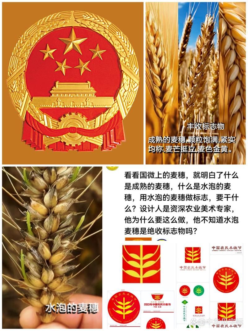 2023超清国徽手机壁纸合集免费下载推荐