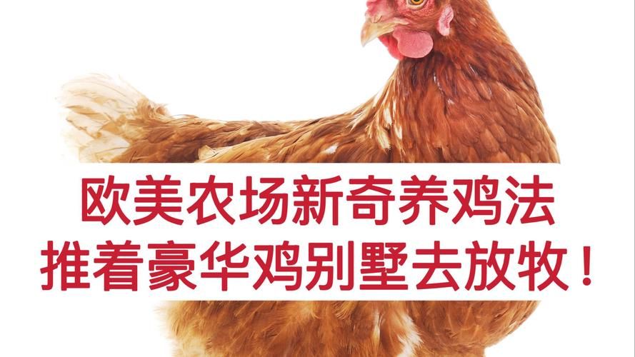 2144开心农场动物饲养指南 养鸡养牛乐趣多多