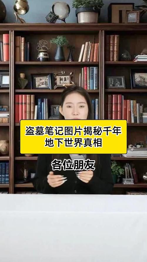 22世纪古墓奇兵看点盘点 未来盗墓世界大揭秘