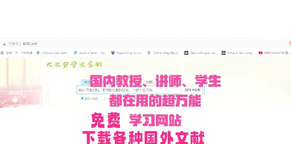 2568导航网站精选资源 一站解决所有上网需求