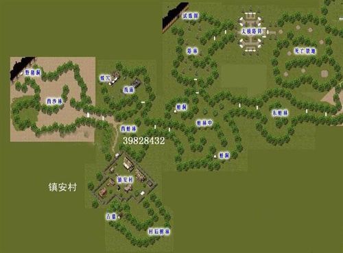 4399泰米时空怎么玩 新手入门攻略分享