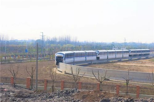 4948地铁笨蛋最新进展 官方回应来了