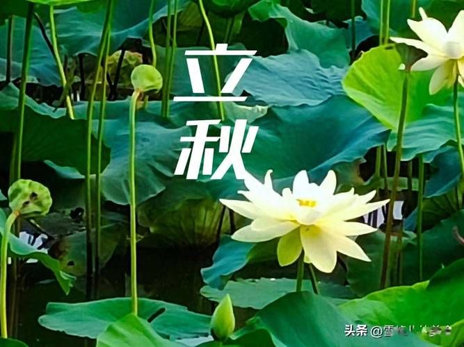 8月7号几点立秋 今年立秋具体时间公布