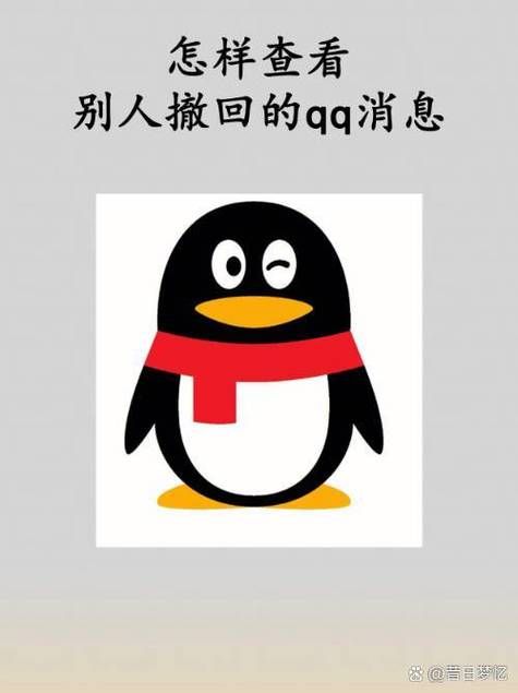 9.qq.com怎么进不去解决方法大全