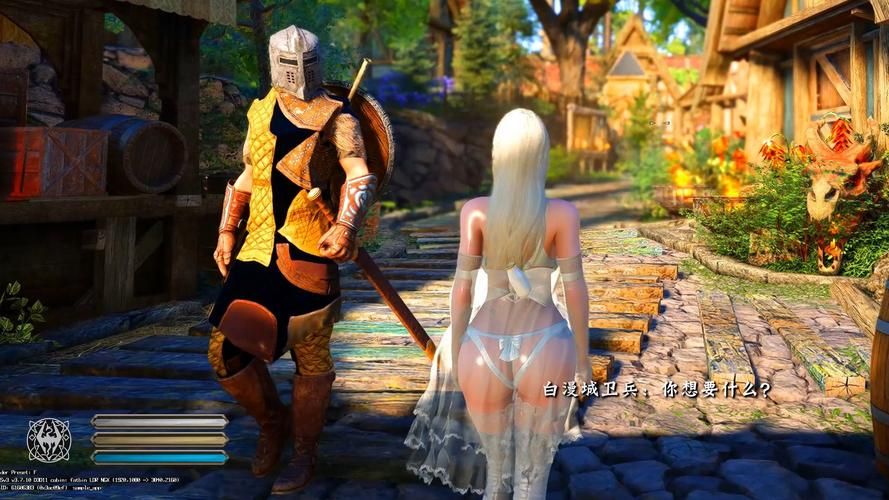 9dm上古卷轴5画面优化设置 让你的游戏更流畅