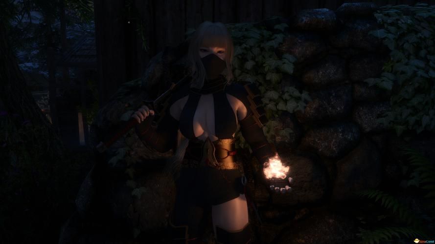 9dm上古卷轴5画面优化设置 让你的游戏更流畅