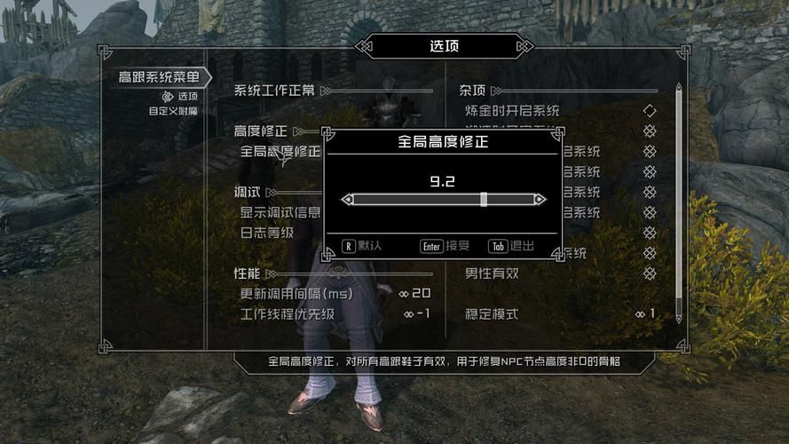 9dm上古卷轴5画面优化设置 让你的游戏更流畅