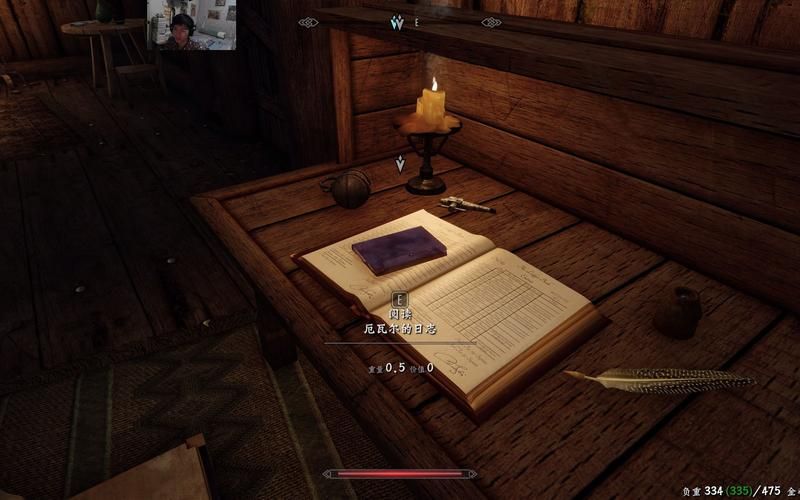 9dm上古卷轴5画面优化设置 让你的游戏更流畅