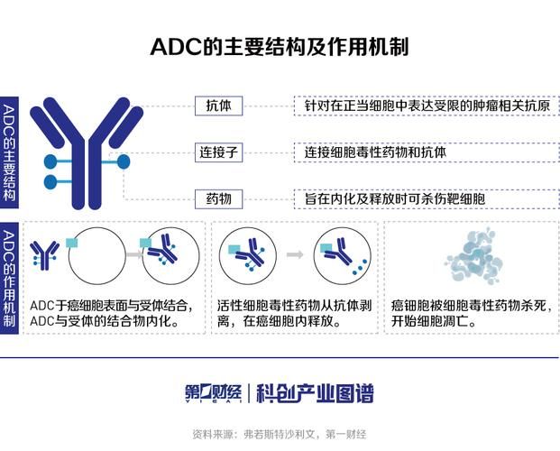 adc全称是什么 这个英文缩写到底代表什么意思