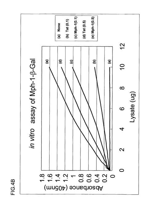 BTM是1还是0 教你如何判断BTM的数值